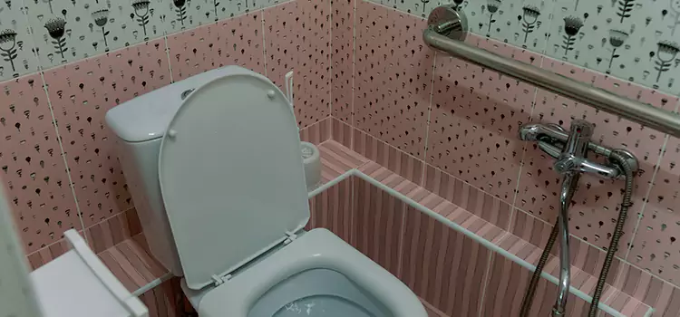 Meeting Diverse Needs With Accessible Restroom Solutions in East Hemet, CA